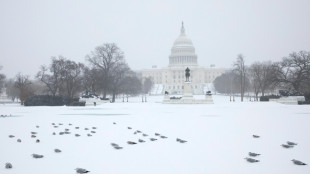 US government shuts down but quick resolution expected
