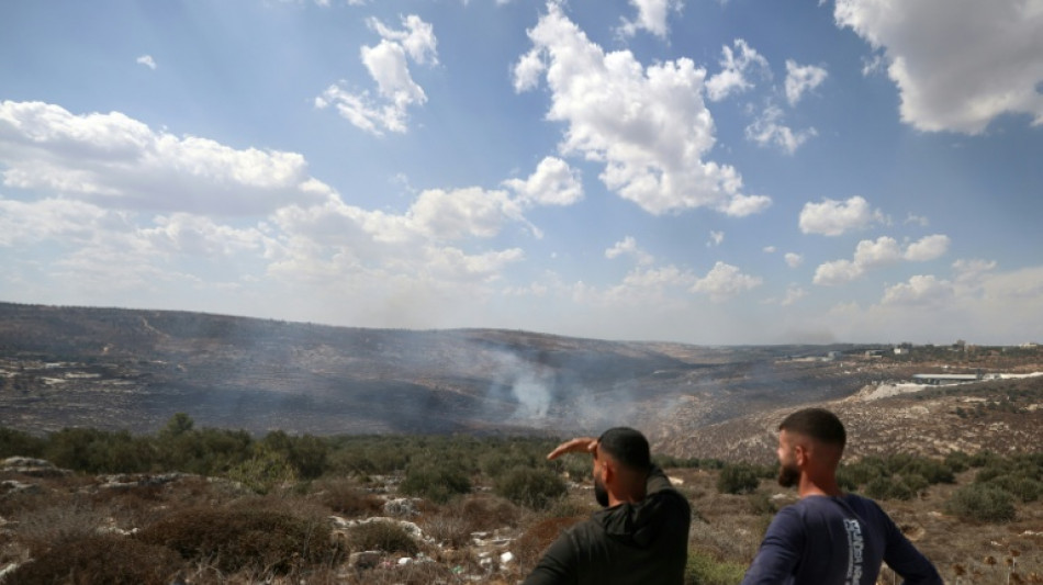 Israeli settlers attack European diplomats, beat French mayor