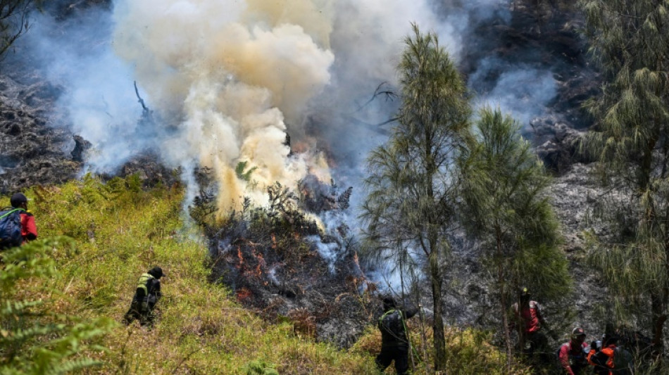 Indonesia battles Mount Bromo wildfire as El Nino takes root