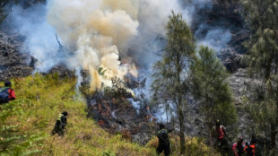 Indonesia battles Mount Bromo wildfire as El Nino takes root