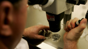 Human skin cells turned into fertilisable eggs for first time