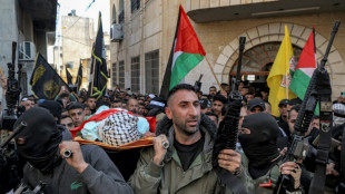 Militares israel&iacute;es matan a tiros a un adolescente palestino 