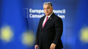 Pas de dernier sommet europ&eacute;en pour Orban