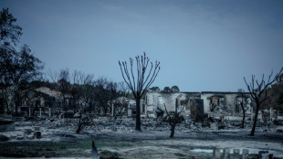 Residentes de zona devastada por megaincendio en Francia abuchean a primer ministro