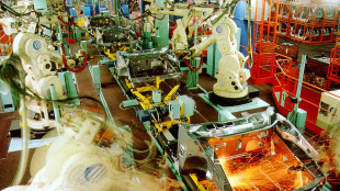 Istat, con novit&agrave; fiscali del 2025 l'Ires per le imprese cala del 3,3%