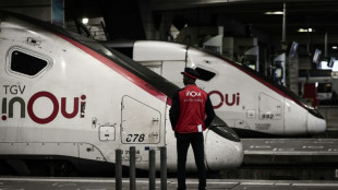 Grève SNCF: pagaille évitée dans les trains, polémique sur le recours aux volontaires pour remplacer les grévistes
