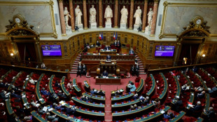 Pouvoir d'achat: la revalorisation du RSA enflamme les d&eacute;bats au S&eacute;nat