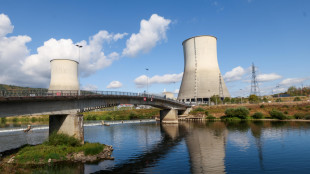 Dagli antineutrini lo stato dei reattori nucleari spenti e del carburante esaurito
