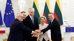 Les Etats baltes connect&eacute;s "avec succ&egrave;s" au r&eacute;seau &eacute;lectrique europ&eacute;en