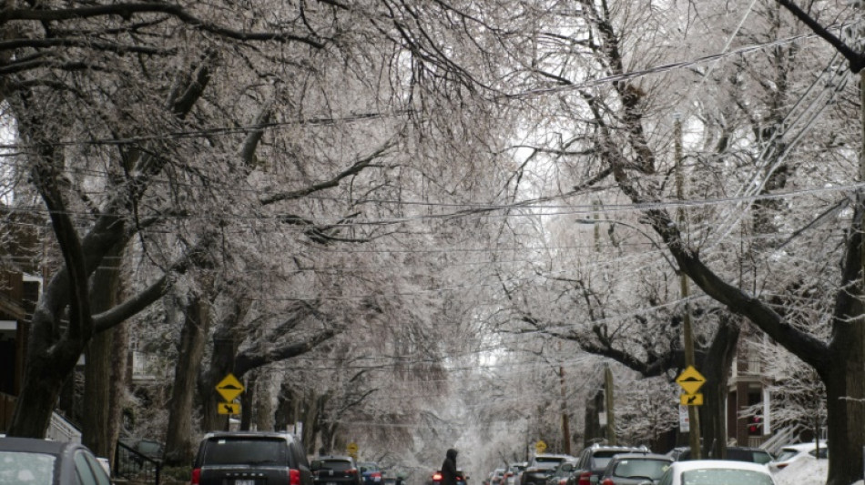 Temp&ecirc;te de verglas: Montr&eacute;al fig&eacute; sous la glace, importants d&eacute;g&acirc;ts mat&eacute;riels