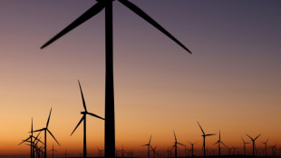 Avec Trump, l'&eacute;olien am&eacute;ricain plong&eacute; dans l'inconnu