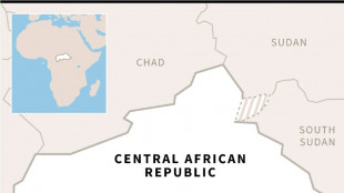 France accused as parcel bomb wounds Russian in Central Africa 