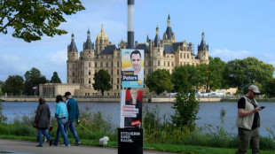 Mecklenburg-Vorpommern: AfD-Kandidat scheitert bei Landtagspr&auml;sidentenwahl