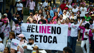El Senado de M&eacute;xico aprueba la pol&eacute;mica reforma electoral de L&oacute;pez Obrador
