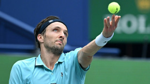 Masters 1000 de Shanghai: Vacherot et Rinderknech, deux cousins en quarts "c'est génial"