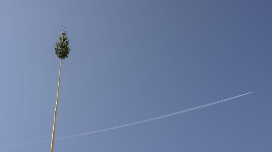 Maibaum stürzt in Menschenmenge: Fünf Verletzte in Nordhein-Westfalen 