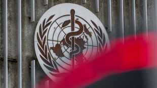 L'OMS alerte sur la lenteur des progr&egrave;s dans la lutte contre les virus de l'h&eacute;patite