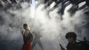 UN says 2025 to be among top three warmest years on record