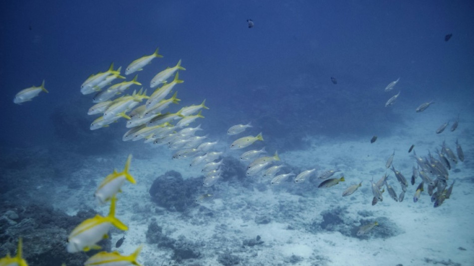 La France investit pour surveiller l'impact du r&eacute;chauffement climatique sur les oc&eacute;ans