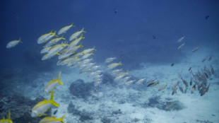 La France investit pour surveiller l'impact du r&eacute;chauffement climatique sur les oc&eacute;ans