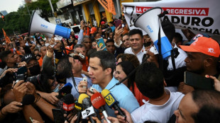 Aplazan la decisi&oacute;n sobre el futuro del "gobierno interino" de Guaid&oacute; en Venezuela