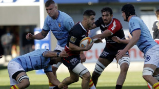 Top 14: Toulouse sombre et s'enfonce dans le doute &agrave; Perpignan