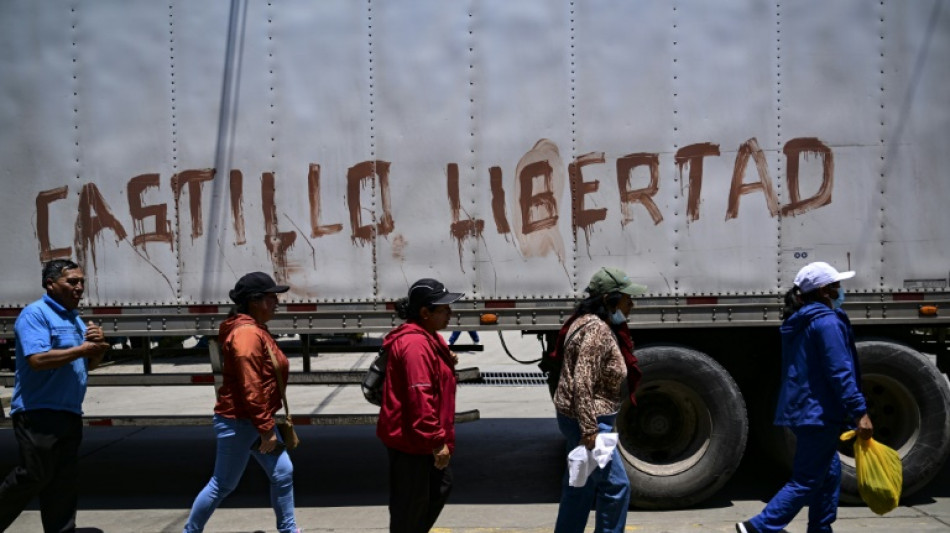 Claves para entender el apoyo y rechazo al depuesto Castillo en Per&uacute;