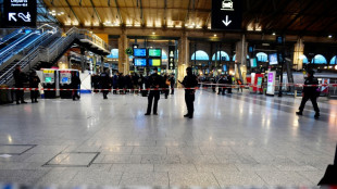 Agression gare du Nord : le suspect mis en examen et plac&eacute; en d&eacute;tention provisoire