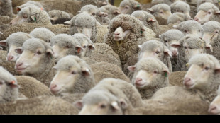 Verhandlungen zwischen EU und Australien &uuml;ber Handelsabkommen gescheitert 