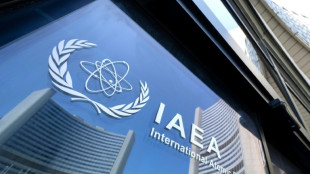 IAEA verabschiedet trotz US-Widerstands Resolution zur Bedrohung der atomaren Sicherheit der Ukraine