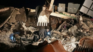 S&eacute;isme en Syrie: la petite miracul&eacute;e de Jandairis