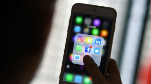 Les jeunes Fran&ccedil;ais moins pr&eacute;sents sur les r&eacute;seaux sociaux, selon une &eacute;tude