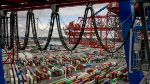 Handelsstreit: Stimmung deutscher Firmen im Ausland trübt sich ein