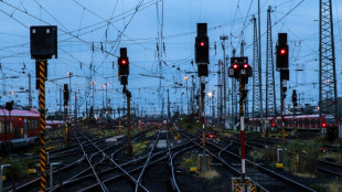 Vögel sollen besser vor Stromschlägen an Bahn-Oberleitungen geschützt werden