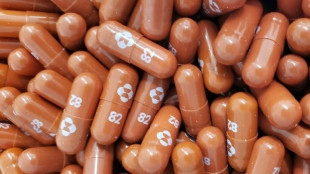 Accord pour donner acc&egrave;s &agrave; l'anti-Covid de Merck &agrave; 105 pays d&eacute;munis