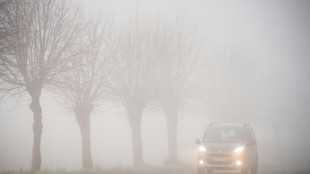 ADAC erwartet zu drittem Advent viel Verkehr auf Fernstra&szlig;en in Deutschland