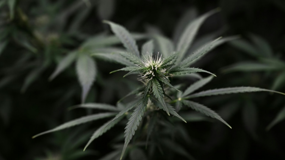 Internationale Drogentagung: EU-L&auml;nder m&uuml;ssen sich an gemeinsamen Standpunkt halten