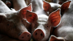 Neuer Landwirtschaftsminister will sich für mehr Tierwohl einsetzen