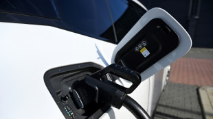 EU-Parlament entscheidet über Lockerung der CO2-Grenzwerte für Autobauer