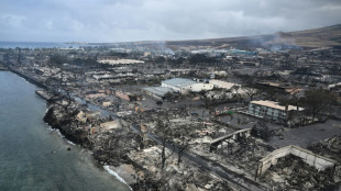 Incendies &agrave; Hawa&iuml;: les autorit&eacute;s publient une liste de 388 personnes port&eacute;es disparues