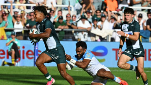 Top 14: Pau et Lyon encha&icirc;nent et prennent la t&ecirc;te