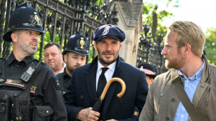 Beckham queues through the night to see queen's coffin