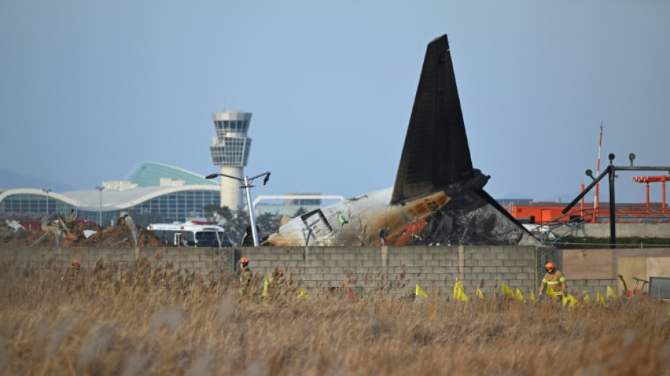 Nach Flugzeugungl&uuml;ck: S&uuml;dkorea pr&uuml;ft Zul&auml;ssigkeit von Betonmauer am Flughafen