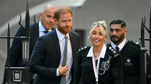 Prinz Harry streitet vor Gericht erneut um Polizeischutz während Heimatbesuchen