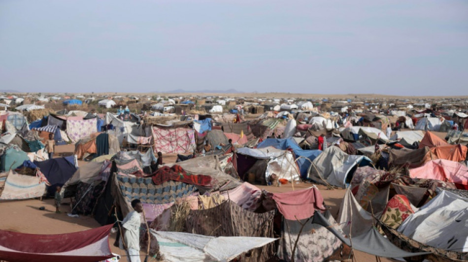 Conselho de Direitos Humanos da ONU ordena investigar abusos em El Fasher, Sud&atilde;o