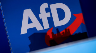 Debatte über AfD-Verbot geht weiter - Demonstrationen bundesweit