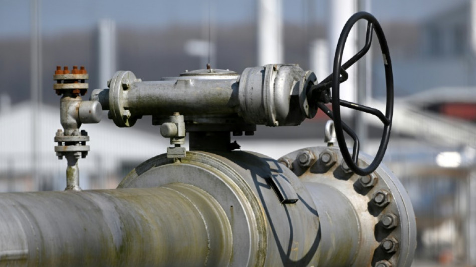 CSU-Landesgruppe fordert Gaspreisdeckel f&uuml;r 75 Prozent des Privatverbrauchs