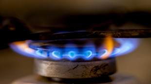 Il prezzo del gas &egrave; in calo ma resta oltre i 50 euro