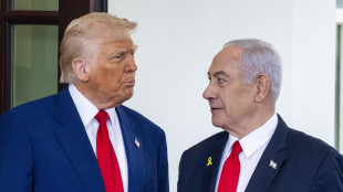 'Trump frustrato,vuole che Netanyahu concluda guerra Gaza'