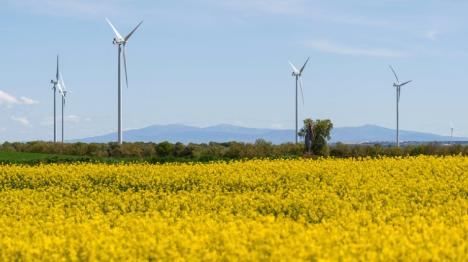 Spain's blackout highlights renewables' grid challenge
